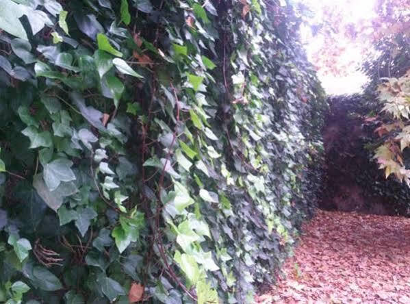 Hostal Ramon Y Cajal บายาโดลิด ภายนอก รูปภาพ